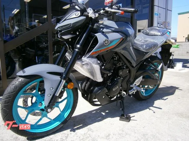 Yamaha MT-25 ABS 2 2023 — миниатюра 5