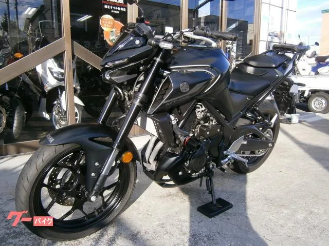 Yamaha MT-03(320cc)ABS 2023 — миниатюра 5