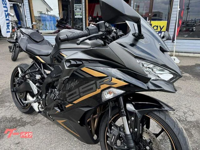 Kawasaki Ninja ZX-25R SE 1 No3515 2022 — миниатюра 4