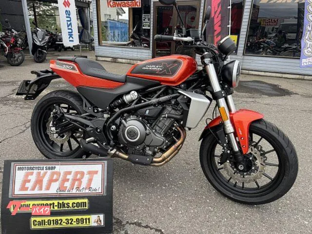 HARLEY-DAVIDSON X350 2024 No3532 2024 — фото 1, купить с доставкой в Москву