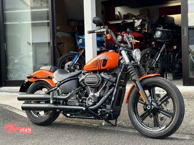 HARLEY-DAVIDSON FXBBS 114 2024 2024 — миниатюра 2