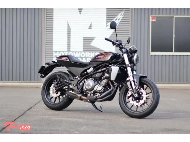 HARLEY-DAVIDSON X350 2024 2024 — миниатюра 2