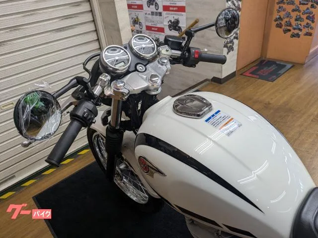 Kawasaki W230 MY25 2024 — миниатюра 3