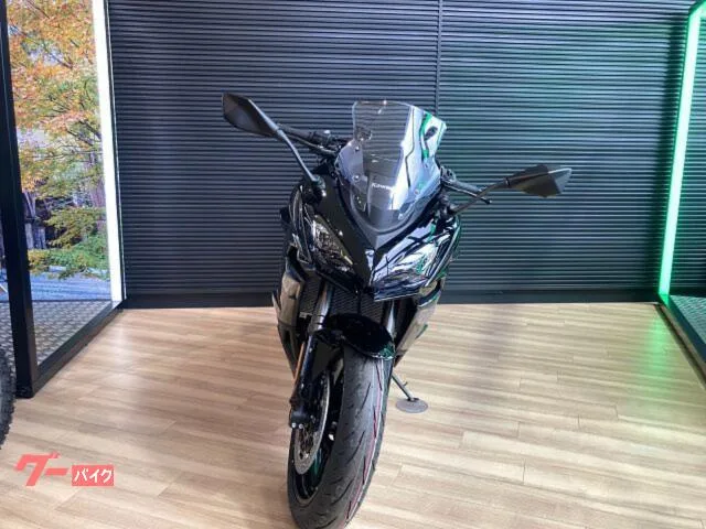 Kawasaki Ninja 1100 SX 2025 — миниатюра 4