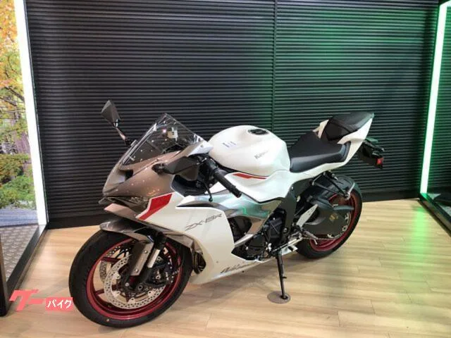 Kawasaki Ninja ZX-6R ETC 2025 — миниатюра 3
