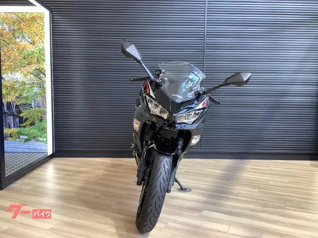 Kawasaki Ninja 400 2025 — миниатюра 4