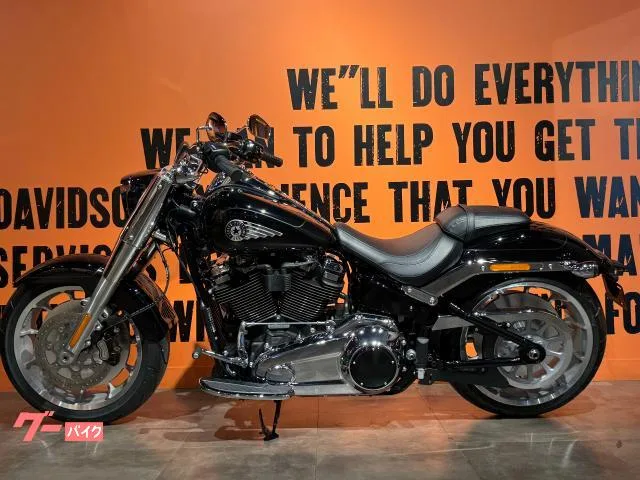 HARLEY-DAVIDSON FLFB 117 2025 — миниатюра 5