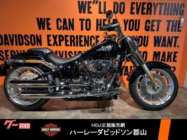 HARLEY-DAVIDSON FLFB 117 2025 — фото 1, купить с доставкой в Москву