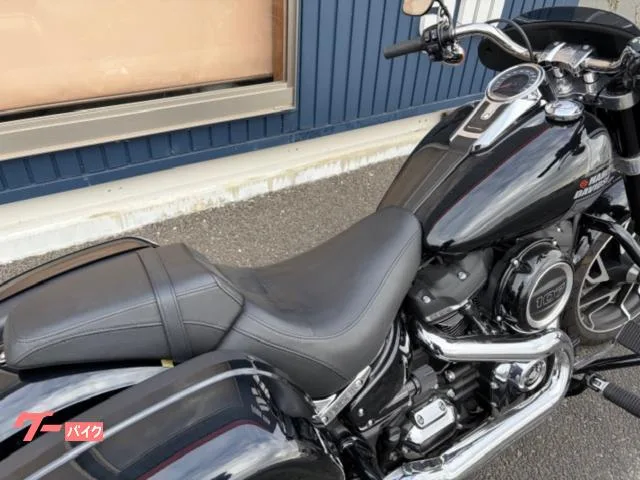 HARLEY-DAVIDSON FLSB 2 2022 — миниатюра 3