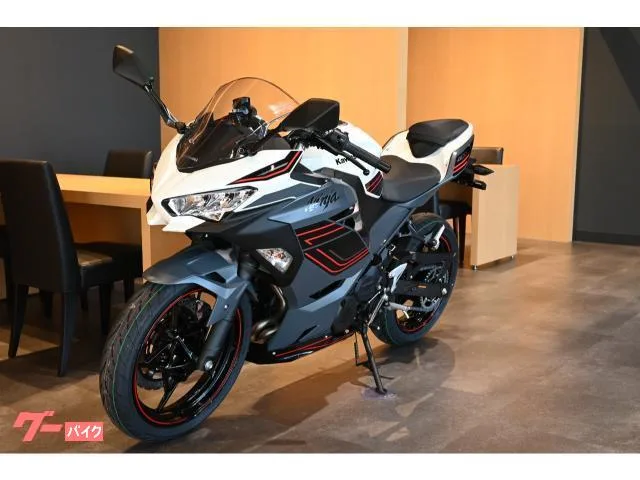 Kawasaki Ninja 400 2024 — миниатюра 3
