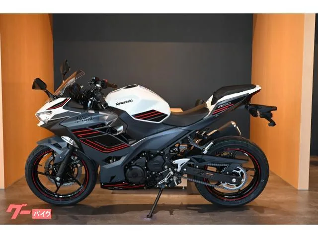 Kawasaki Ninja 400 2024 — миниатюра 5