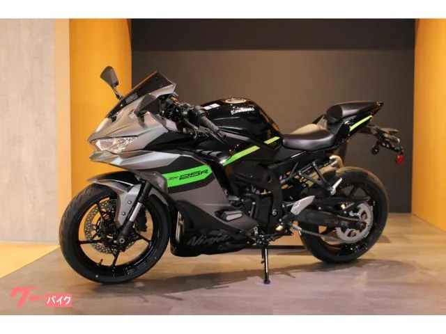 Kawasaki Ninja ZX-25R SE 2026 USB 2026 — миниатюра 4