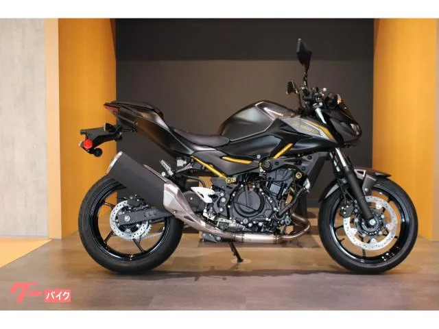 Kawasaki Z500 NEW 2026 — миниатюра 2