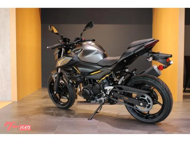 Kawasaki Z500 NEW 2026 — миниатюра 3