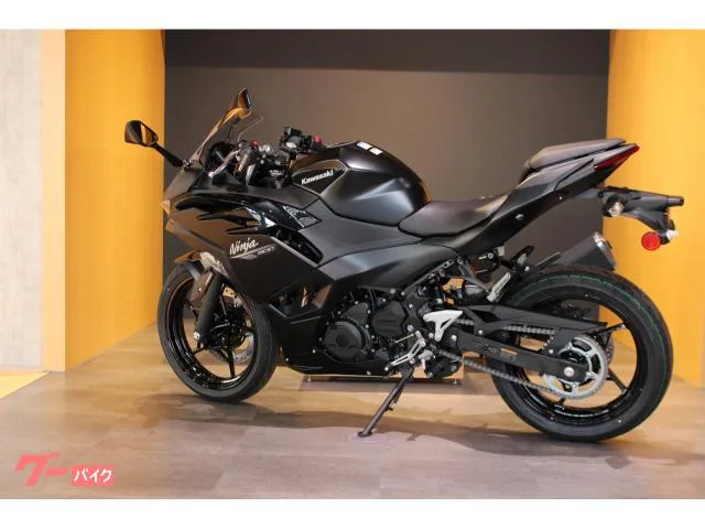 Kawasaki Ninja 500 NEW 2026 — миниатюра 3