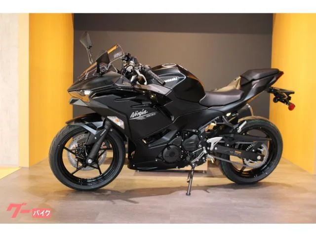 Kawasaki Ninja 500 NEW 2026 — миниатюра 4