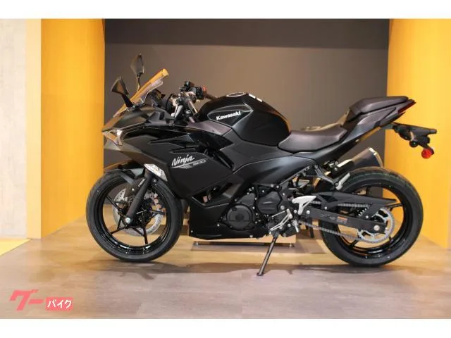 Kawasaki Ninja 500 NEW 2026 — миниатюра 5