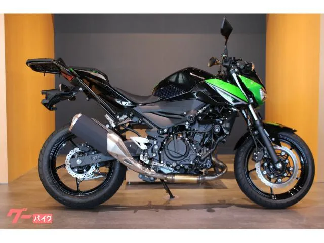 Kawasaki Z250 ETC2.0 ENDURANCE 2023 — миниатюра 2