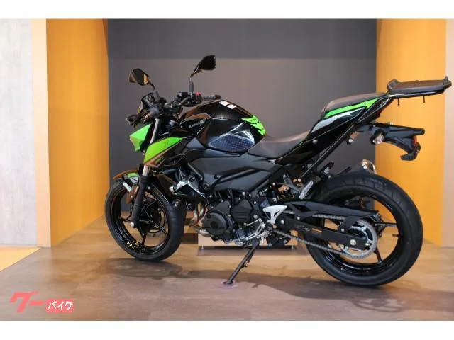 Kawasaki Z250 ETC2.0 ENDURANCE 2023 — миниатюра 3