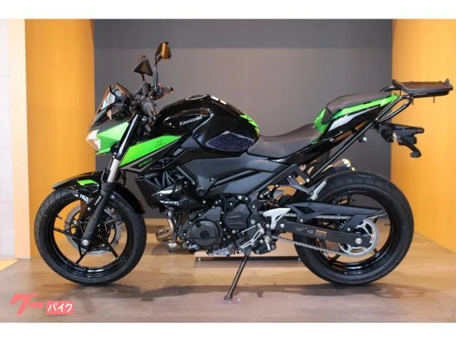 Kawasaki Z250 ETC2.0 ENDURANCE 2023 — миниатюра 5
