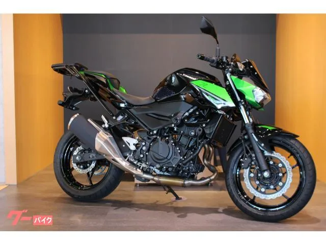 Kawasaki Z250 ETC2.0 ENDURANCE 2023 — фото 1, купить с доставкой в Москву
