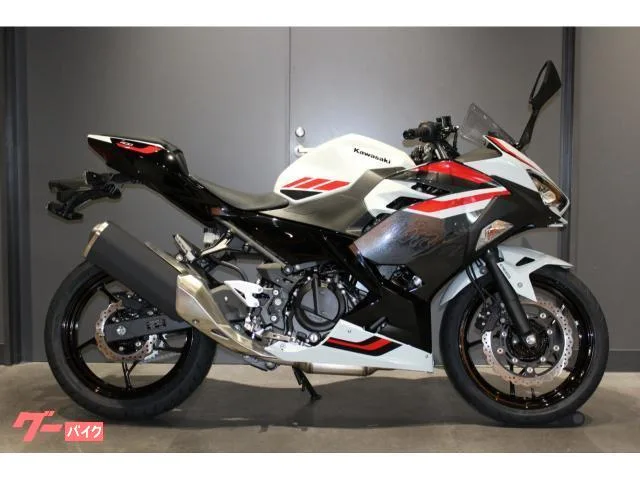 Kawasaki Ninja 400 398cc 2 2026 — миниатюра 4