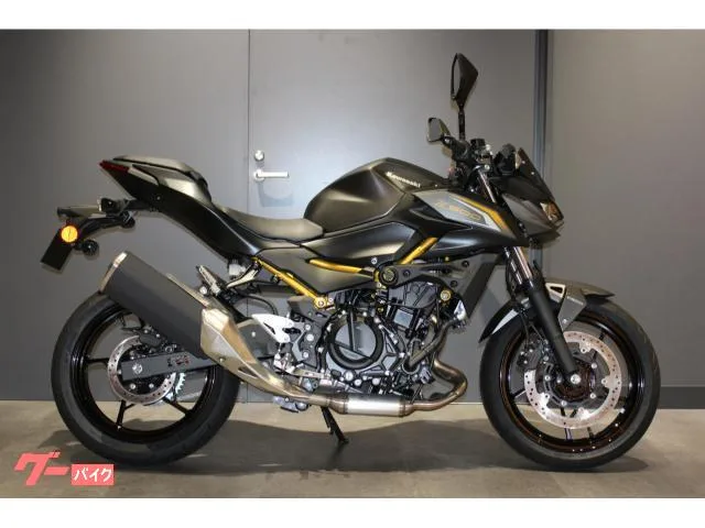 Kawasaki Z500 451cc 42 2026 — миниатюра 4