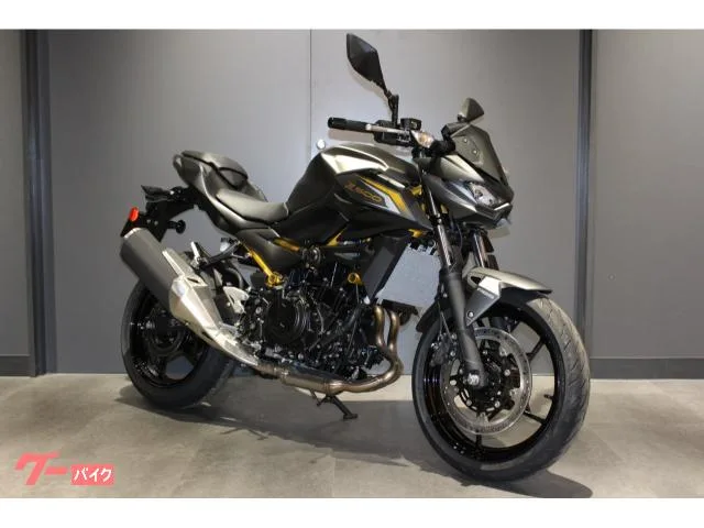 Kawasaki Z500 451cc 42 2026 — фото 1, купить с доставкой в Москву