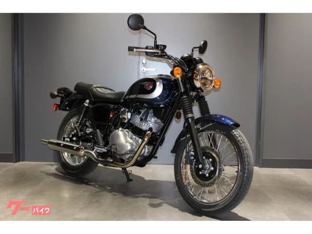Kawasaki W230 232cc 4 2025 — фото 1, купить с доставкой в Москву