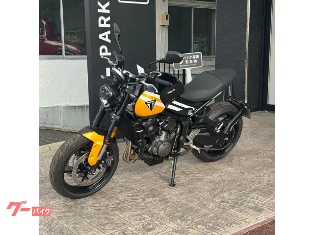 TRIUMPH 660/2025///// 2025 — миниатюра 2