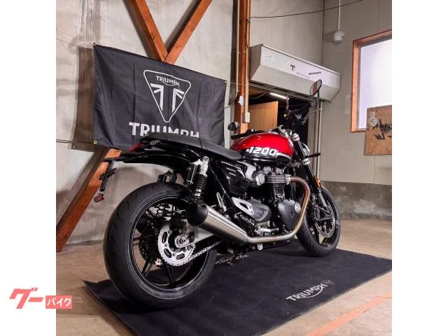 TRIUMPH 1200/2025//105/112Nm//USB 2025 — миниатюра 3