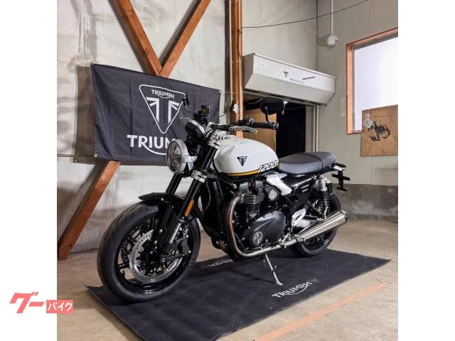 TRIUMPH 1200/2025//105/112Nm//USB 2025 — миниатюра 2