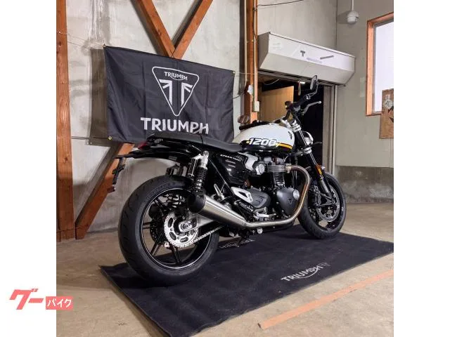 TRIUMPH 1200/2025//105/112Nm//USB 2025 — миниатюра 3