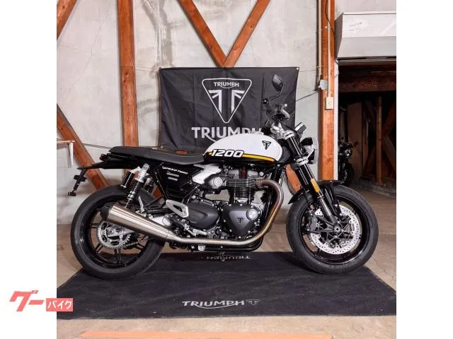 TRIUMPH 1200/2025//105/112Nm//USB 2025 — миниатюра 5