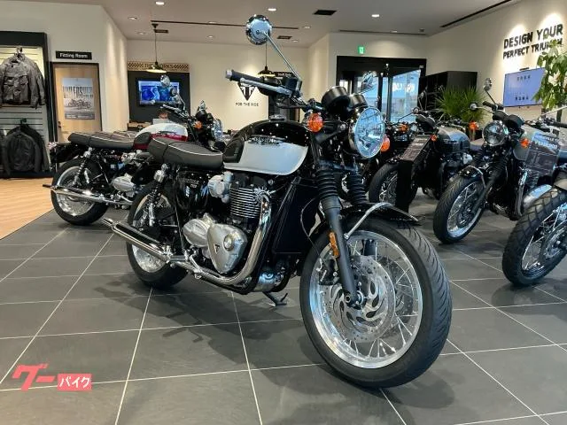 TRIUMPH T120/2025/80/105Nm //// 2025 — миниатюра 2
