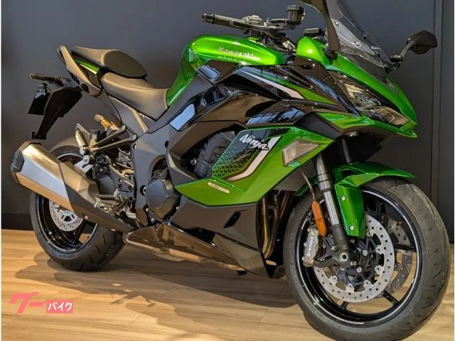 Kawasaki Ninja 1100 SX ETC/ ///USB 2026 — миниатюра 2