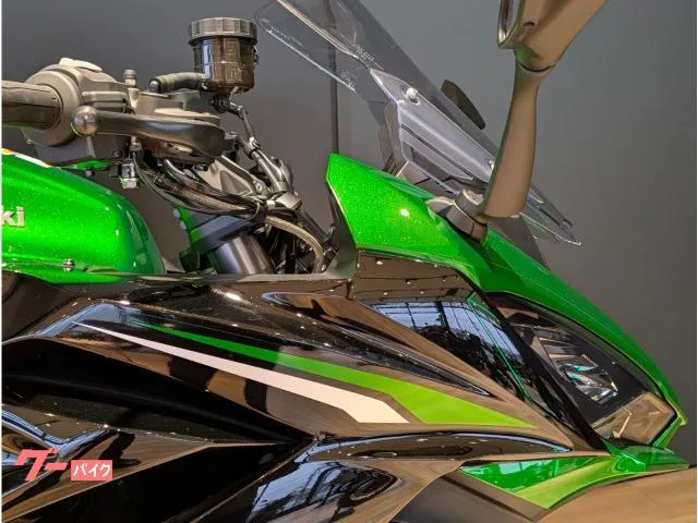 Kawasaki Ninja 1100 SX ETC/ ///USB 2026 — миниатюра 3