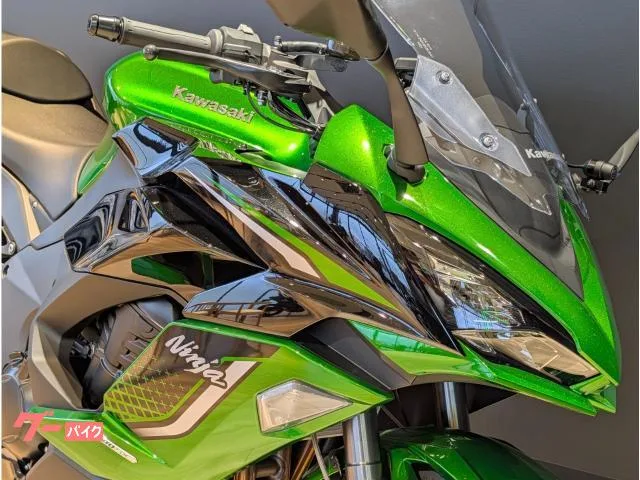Kawasaki Ninja 1100 SX ETC/ ///USB 2026 — миниатюра 5
