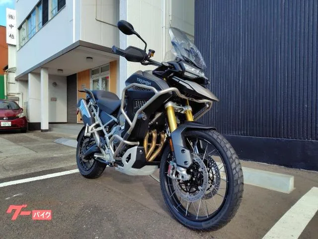 TRIUMPH 1200 2024 — миниатюра 5