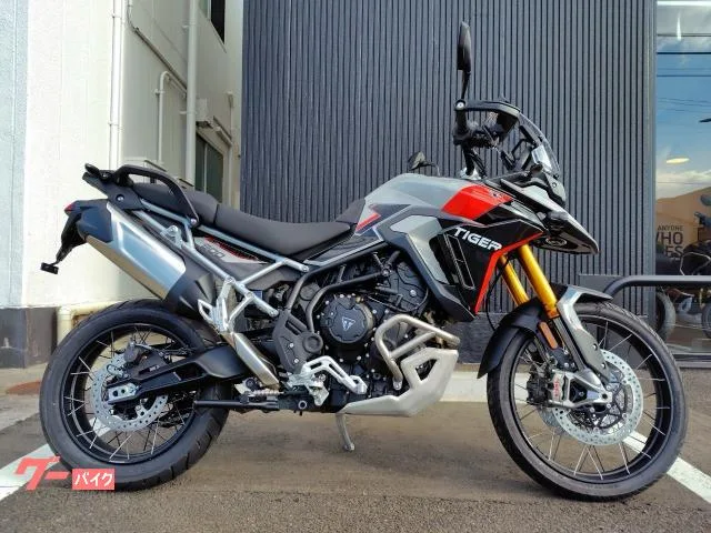 TRIUMPH 900 PRO 2024 — фото 1, купить с доставкой в Москву