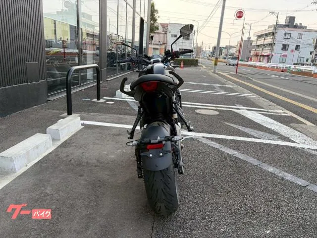 TRIUMPH 660 Sendai Edition 2025 — миниатюра 4