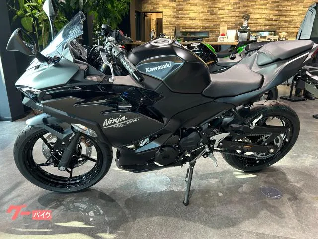 Kawasaki Ninja 500 2026 — миниатюра 2