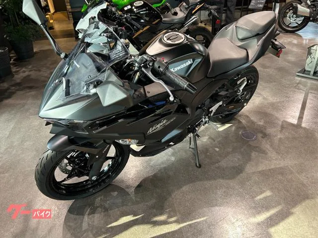 Kawasaki Ninja 500 2026 — миниатюра 3