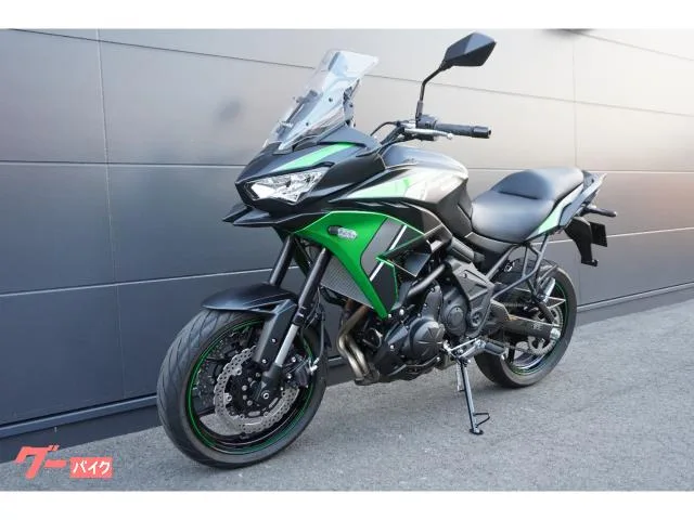 Kawasaki Versys 650 ETC2.0 ABS 2024 — миниатюра 3