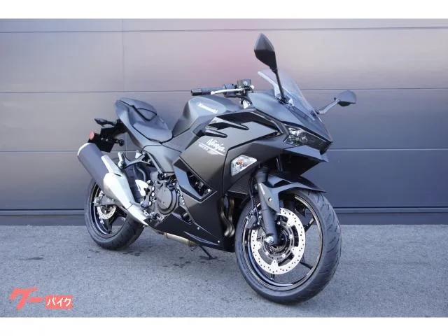Kawasaki Ninja500 ABS 2026 — миниатюра 2