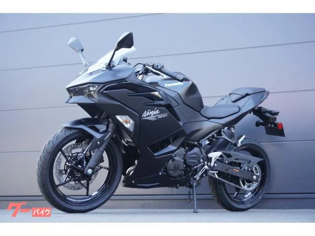 Kawasaki Ninja500 ABS 2026 — миниатюра 5