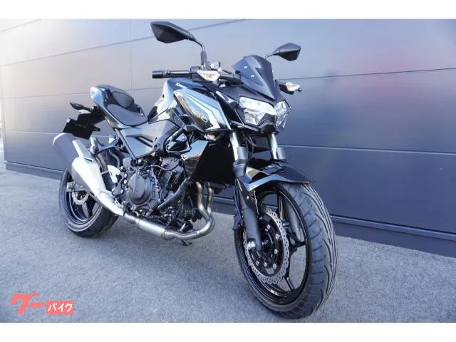 Kawasaki Z250 ABS 2026 — миниатюра 2
