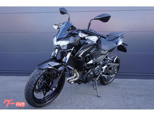 Kawasaki Z250 ABS 2026 — миниатюра 4