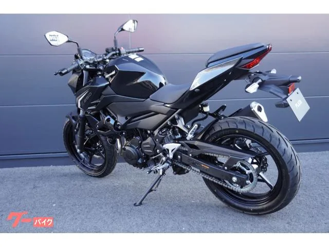 Kawasaki Z250 ABS 2026 — миниатюра 5