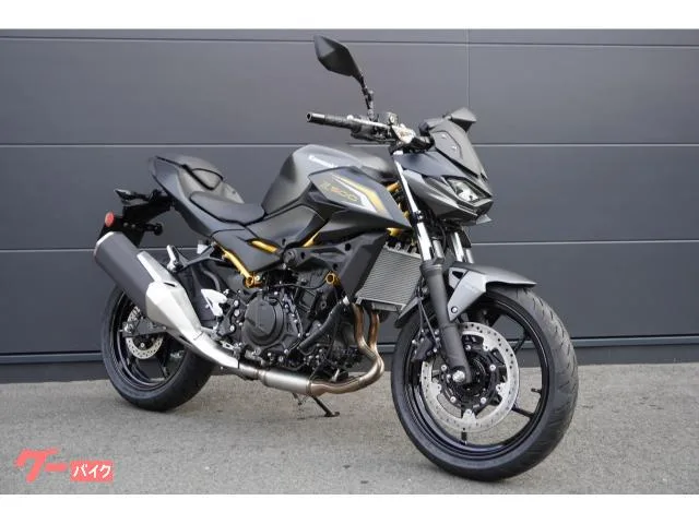 Kawasaki Z500 ABS 2026 — миниатюра 2